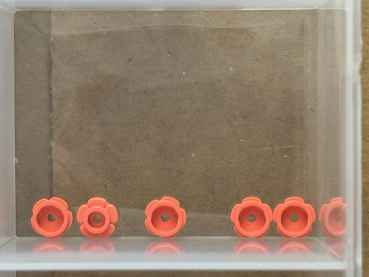 LEGO Parts - Coral Plate, Round 1 x 1 Flower Edge (5 Petals) - No 24866 - QTY 5