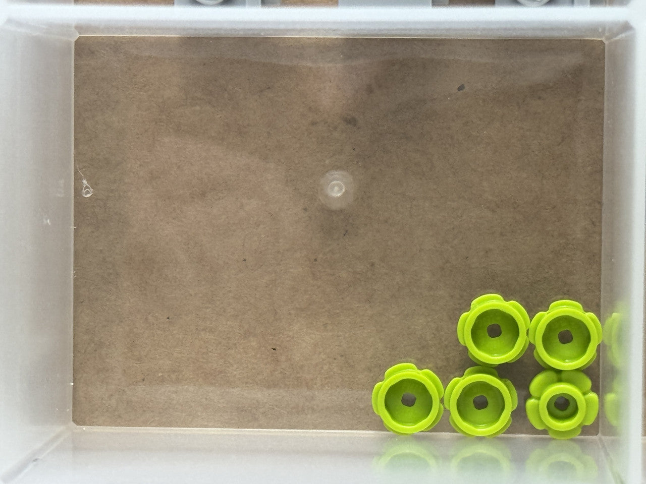 LEGO Parts - Lime Plate, Round 1 x 1 Flower Edge (5 Petals) - No 24866 - QTY 5