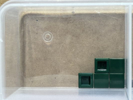 LEGO Parts - Dark Green Tile 1 x 1 - No 3070 - QTY 5