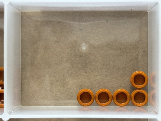 LEGO Parts - Dark Orange Tile, Round 1 x 1 - No 98138 - QTY 5