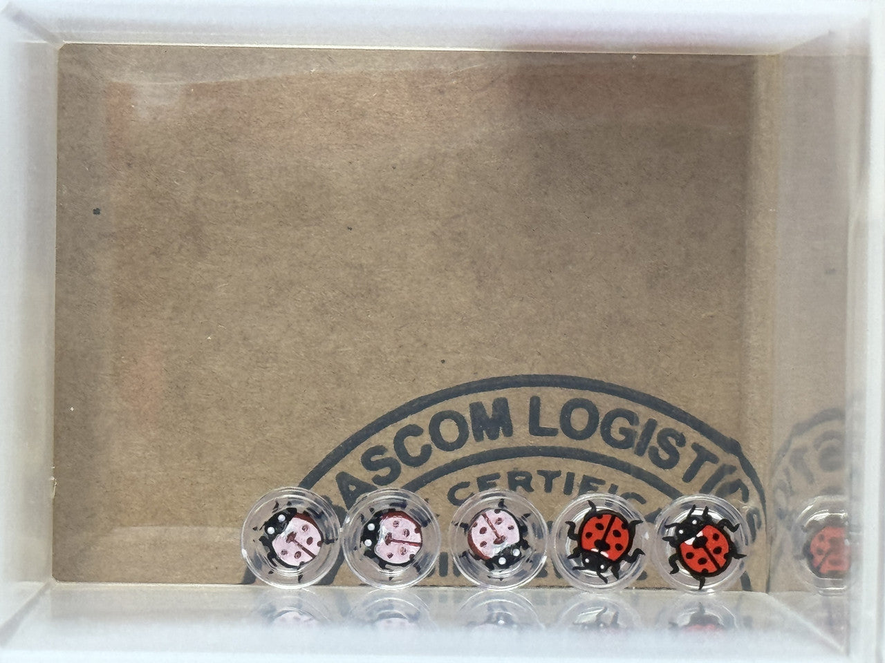 LEGO Parts - Trans-Clear Tile, Round 1 x 1 with Ladybug - No 98138pb447 - QTY 5